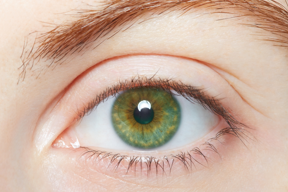 What Do Green Eyes Symbolize In Literature